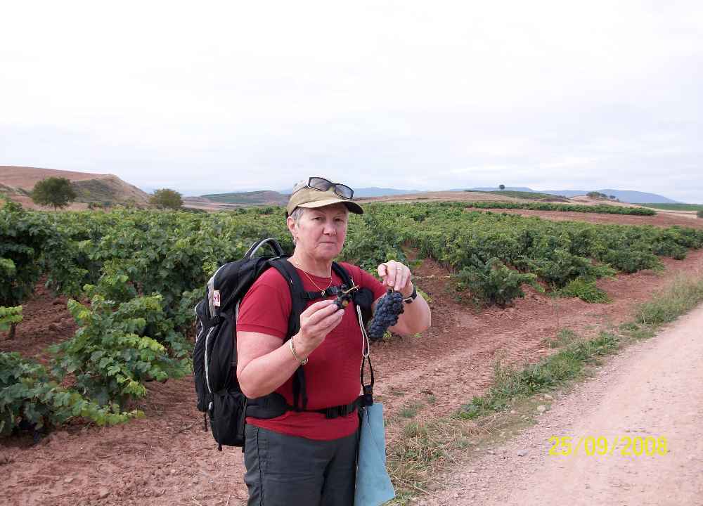 Click na foto para ampliar...